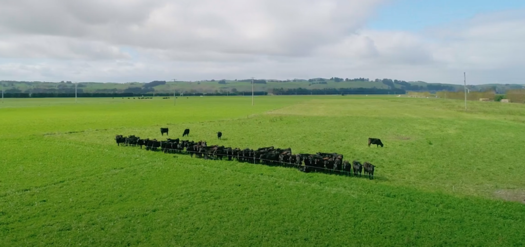 Rotational Grazing