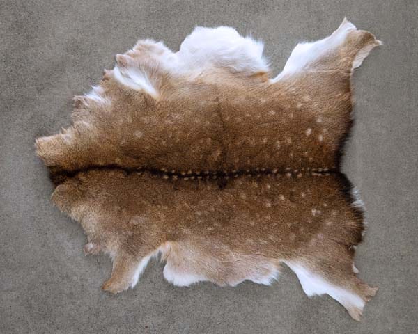 Deer Skin #20