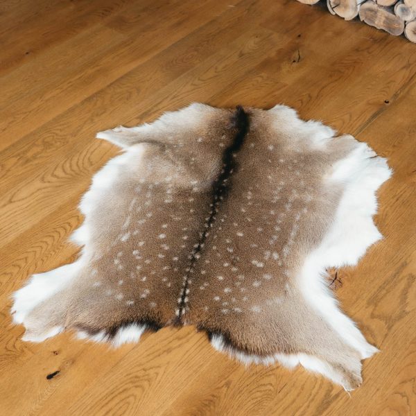 Deer Skin #19