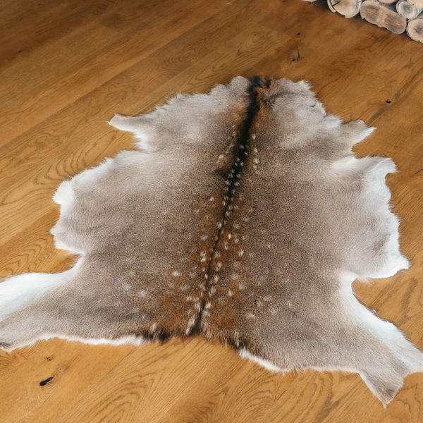 Deer Skin #1