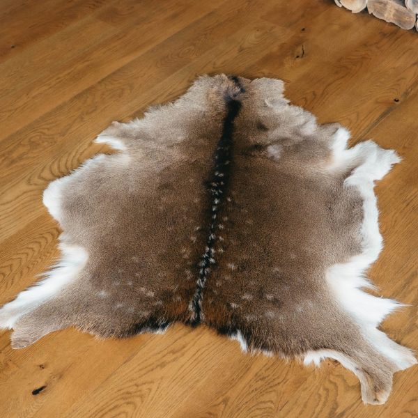 Deer Skin #47