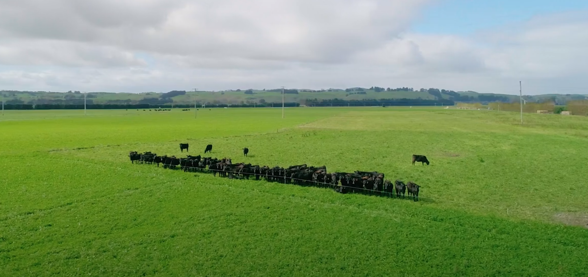 Rotational Grazing