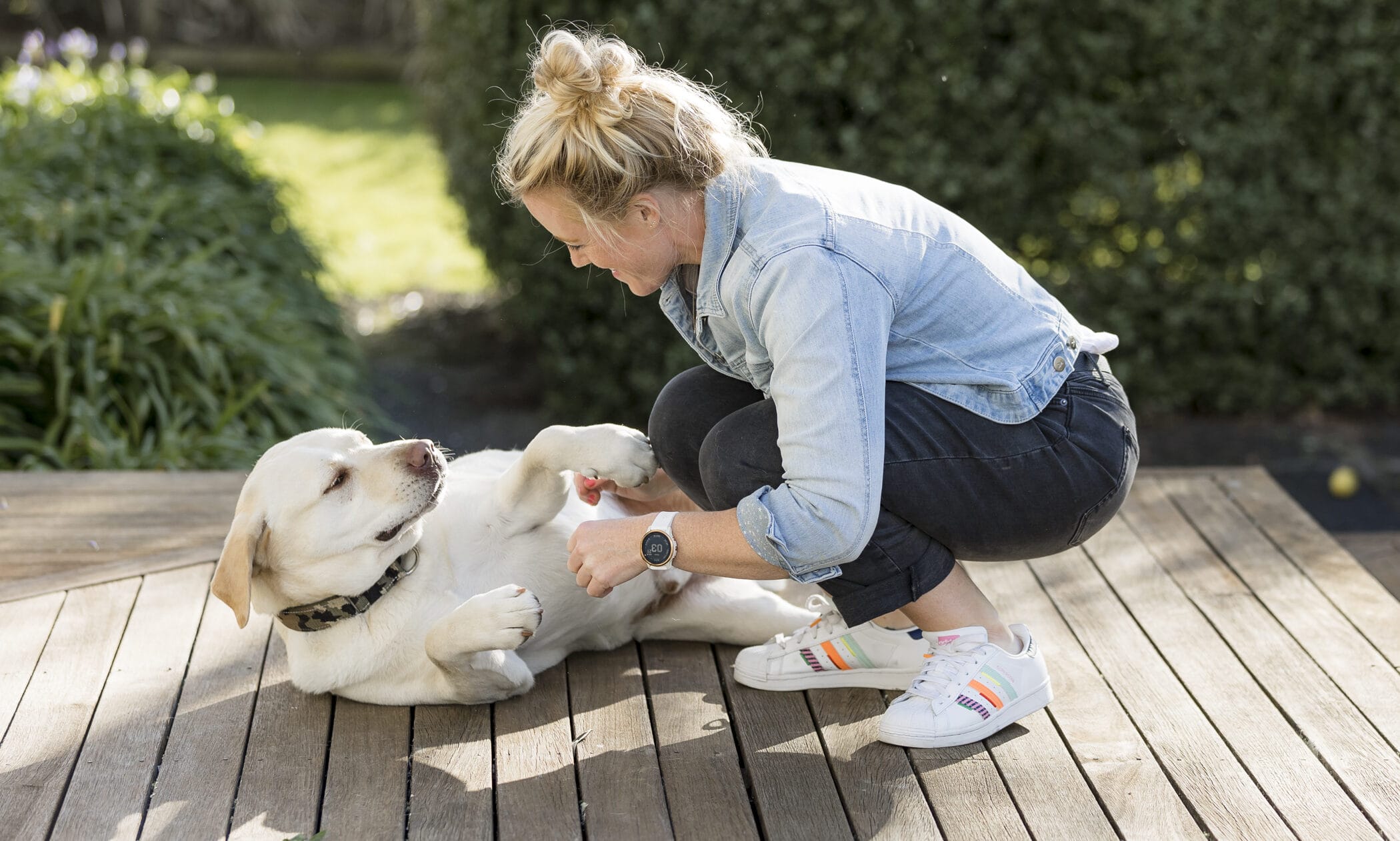Why our dog food?