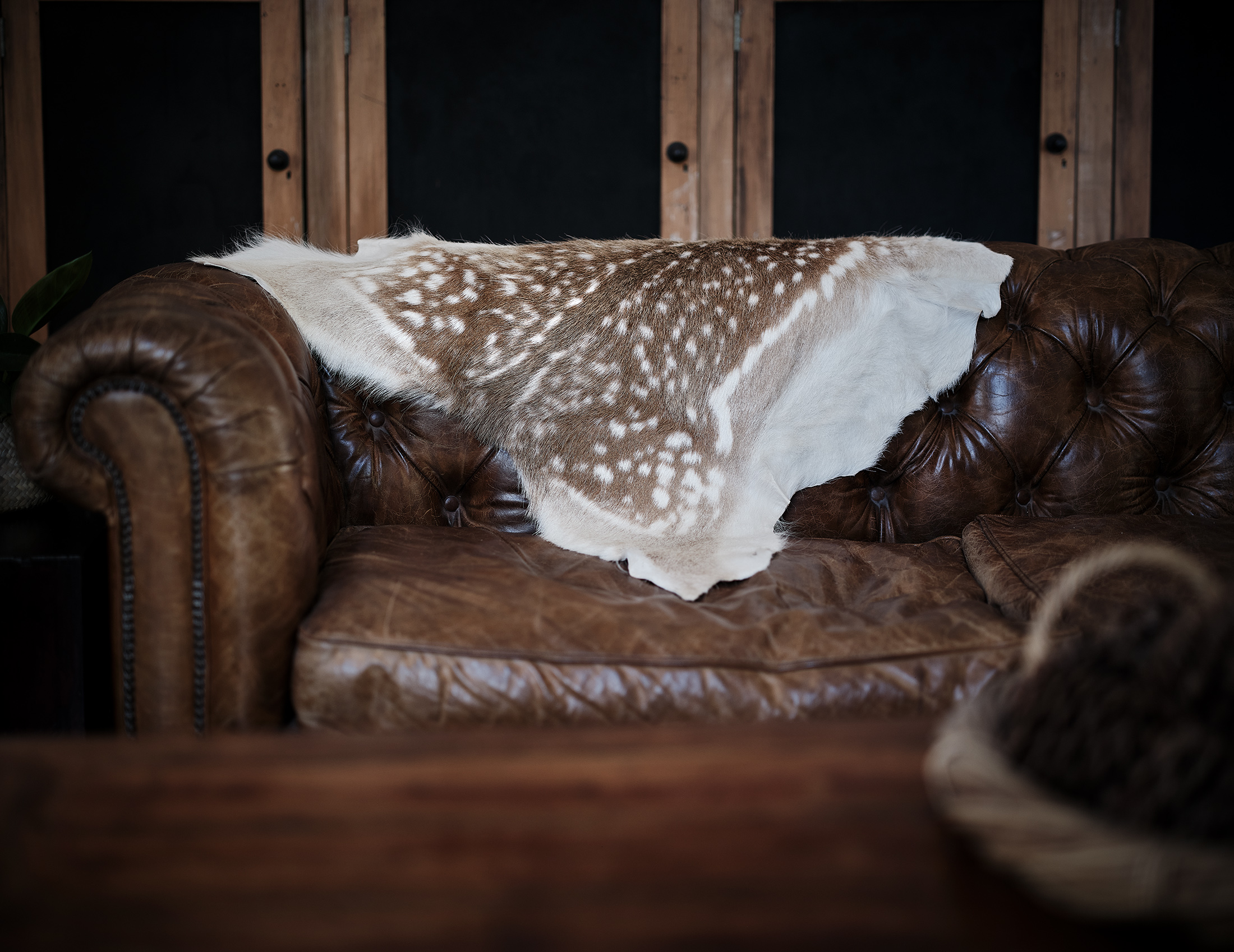 Deer Hides